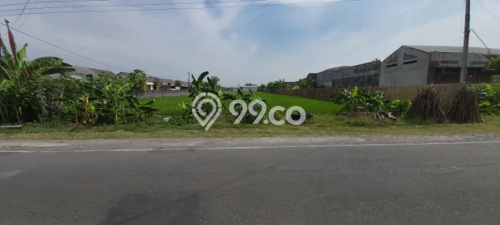 Tanah Strategis Dijual di Jaten Karanganyar 3423m2 Tanah Strategis Dijual di Jaten Karanganyar 3423m2