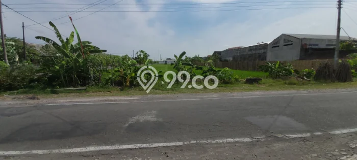 Tanah Strategis Dijual di Jaten Karanganyar 3423m2 Tanah Strategis Dijual di Jaten Karanganyar 3423m2