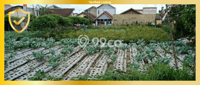 Dijual Tanah di Bandung, Luas 1500m2 SHM Dijual Tanah di Bandung, Luas 1500m2 SHM