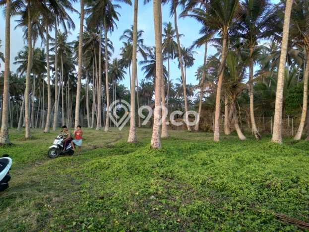 Kavling Tanah di Pekutatan Dijual Luas 15980m2 Legalitas SHM Kavling Tanah di Pekutatan Dijual Luas 15980m2 Legalitas SHM