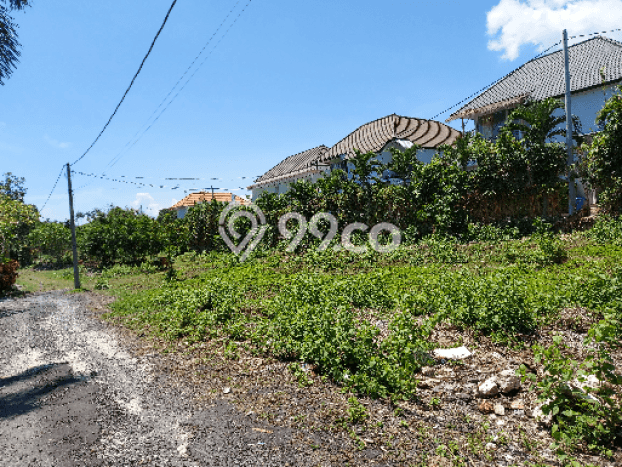 Untuk Dijual Tanah 3300m2 di Pererenan, Badung Untuk Dijual Tanah 3300m2 di Pererenan, Badung