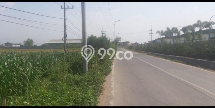 PRIME LOCATION! Tanah di Bangsal, Luas 20000m², Cocok untuk Investasi PRIME LOCATION! Tanah di Bangsal, Luas 20000m², Cocok untuk Investasi