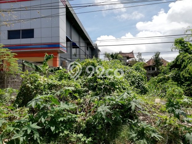 Tanah untuk Disewa di Badung Luas 2600m2 Tanah untuk Disewa di Badung Luas 2600m2