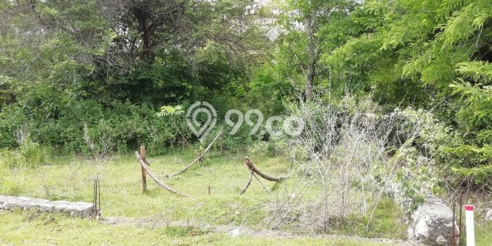 Tanah Kavling Dijual di Nusa Dua, Badung dengan Luas Tanah 467m2 Tanah Kavling Dijual di Nusa Dua, Badung dengan Luas Tanah 467m2