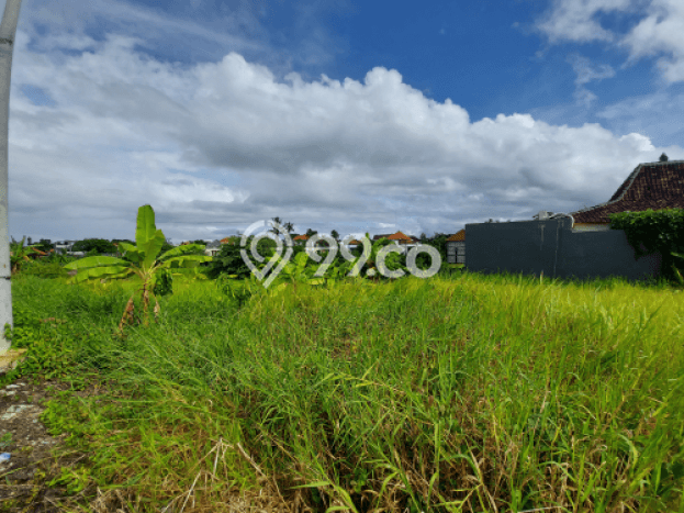 Dijual Tanah di Badung, Luas 1000m2 SHM Dijual Tanah di Badung, Luas 1000m2 SHM