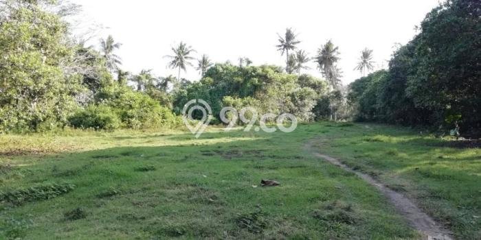 Tanah Investasi Dijual di Tabanan Punya Luas 15300m2 Tanah Investasi Dijual di Tabanan Punya Luas 15300m2