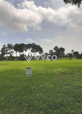 Tanah Siap Bangun Dijual di Tangerang Punya Luas 623m2 Tanah Siap Bangun Dijual di Tangerang Punya Luas 623m2
