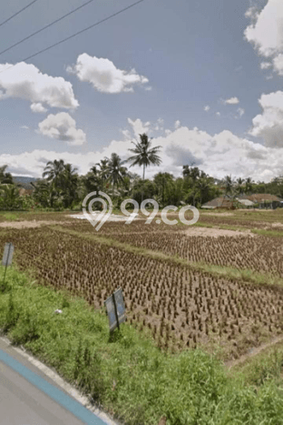 Tanah Dijual Lokasi Cikoneng, Ciamis Luas 4620m2 Legalitas Aman Tanah Dijual Lokasi Cikoneng, Ciamis Luas 4620m2 Legalitas Aman