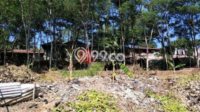 Kavling Tanah di Candisari Dijual Luas 1920m2 Legalitas SHM Kavling Tanah di Candisari Dijual Luas 1920m2 Legalitas SHM