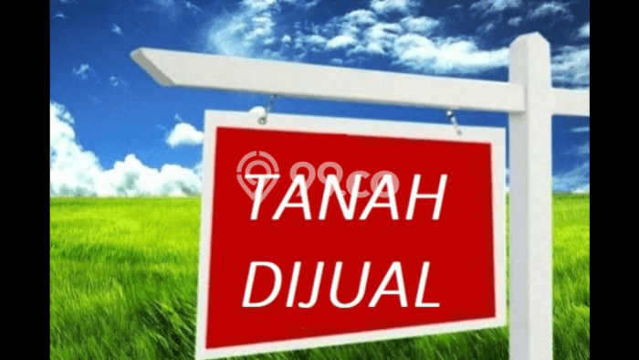 Tanah Komersial Dijual di Manyar Gresik 38000m2 Tanah Komersial Dijual di Manyar Gresik 38000m2