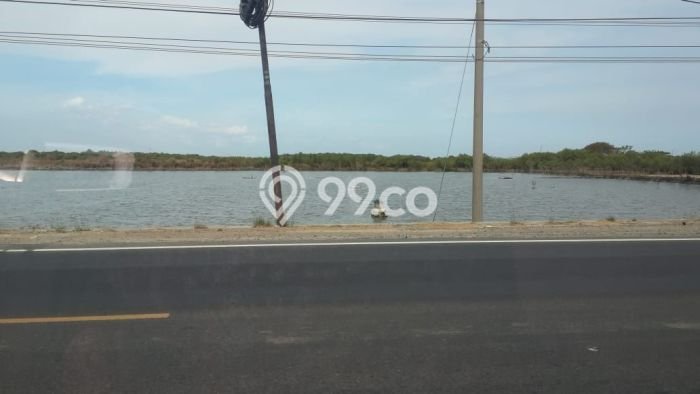 Tanah di Manyar, Gresik Luas 120000m2 Dijual Segera Tanah di Manyar, Gresik Luas 120000m2 Dijual Segera