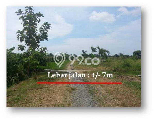 Lahan untuk Dijual di Cerme Gresik Luas 5202m2 Lahan untuk Dijual di Cerme Gresik Luas 5202m2