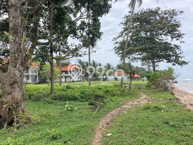 Tanah Kavling untuk Dijual di Anyer Anyer 97000m2 Tanah Kavling untuk Dijual di Anyer Anyer 97000m2