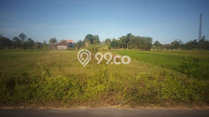 Jarang Ada! Tanah di Godean Punya Luas 1670m2 SHM Jarang Ada! Tanah di Godean Punya Luas 1670m2 SHM