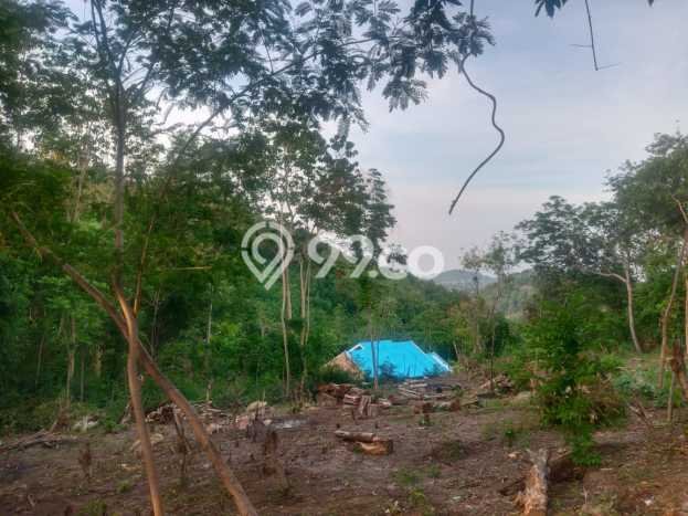 Lahan Dijual Lokasi Komodo, Manggarai Barat dengan Luas Tanah 796m2 dan Status SHM Lahan Dijual Lokasi Komodo, Manggarai Barat dengan Luas Tanah 796m2 dan Status SHM