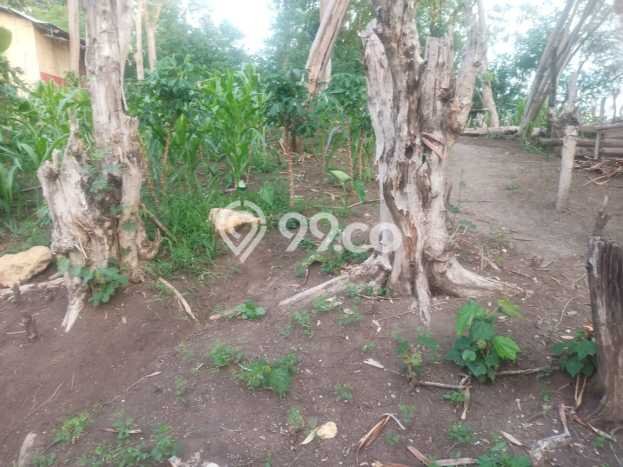 Dijual Tanah Lokasi Labuan Bajo, Manggarai Barat Seluas 796m2 Dijual Tanah Lokasi Labuan Bajo, Manggarai Barat Seluas 796m2
