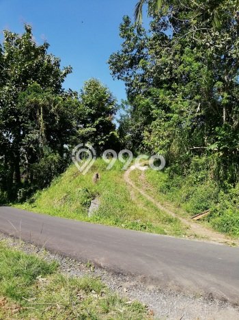 Lahan Kosong Dijual di Marga, Tabanan, Luas 9300m2 Area Strategis Lahan Kosong Dijual di Marga, Tabanan, Luas 9300m2 Area Strategis