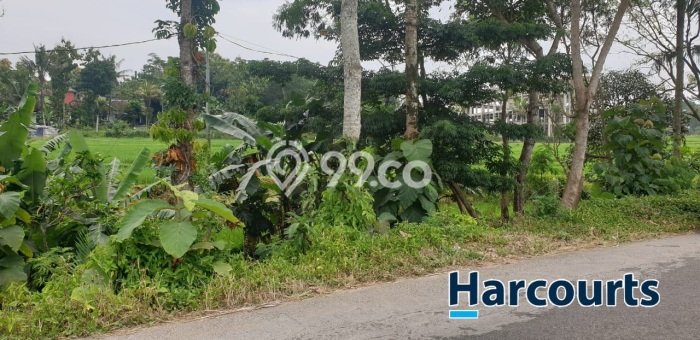 TANAH MURAH di Karangpandan Solo TANAH MURAH di Karangpandan Solo