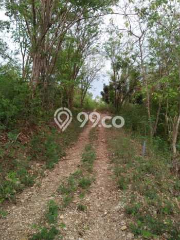 Kavling Tanah untuk Dijual di Labuan Bajo, Manggarai Barat, Luas 615m2 Kavling Tanah untuk Dijual di Labuan Bajo, Manggarai Barat, Luas 615m2
