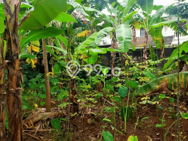 Tanah Kavling di Pesanggrahan Dijual dengan Luas 320m2 Tanah Kavling di Pesanggrahan Dijual dengan Luas 320m2