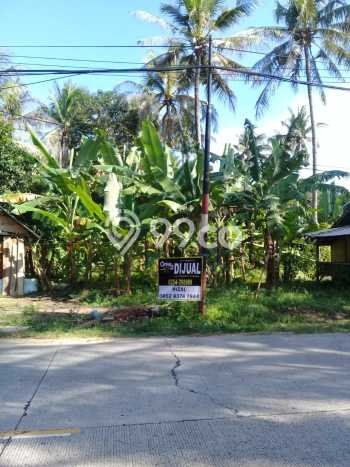 Tanah Kosong Dijual di Anyer dengan Area 15000m2 Tanah Kosong Dijual di Anyer dengan Area 15000m2