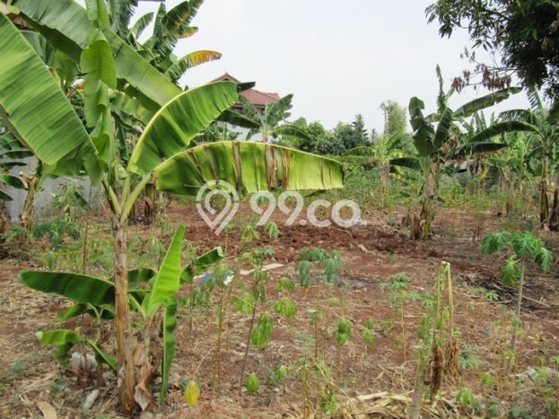 Lahan Dijual Lokasi Strategis di Jakarta Selatan dengan Luas 500m2 Lahan Dijual Lokasi Strategis di Jakarta Selatan dengan Luas 500m2