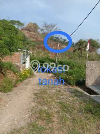Tanah Lokasi Strategis Kawasan Cisaat, Luas 5355m2m², Dekat ke Fasilitas Umum, Dekat Cisaat, Sukabumi, Sukabumi Tanah Lokasi Strategis Kawasan Cisaat, Luas 5355m2m², Dekat ke Fasilitas Umum, Dekat Cisaat, Sukabumi, Sukabumi