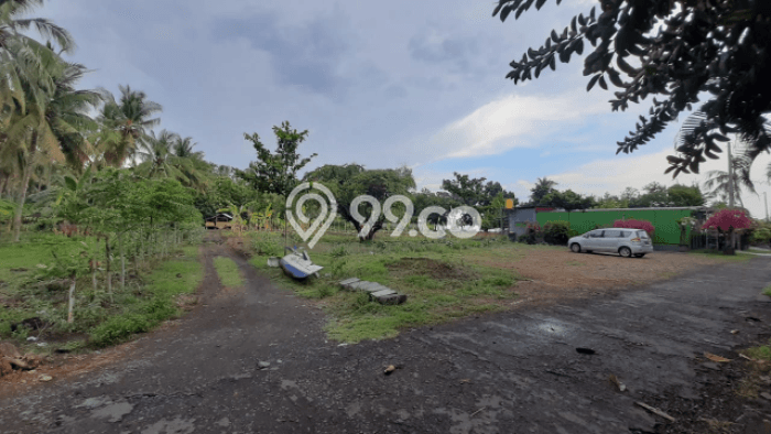 Tanah Kavling Dijual di Buleleng dengan Spesifikasi 5350m2 Tanah Kavling Dijual di Buleleng dengan Spesifikasi 5350m2