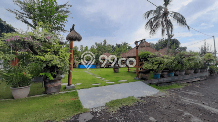 Tanah Kavling Dijual di Buleleng dengan Spesifikasi 5350m2 Tanah Kavling Dijual di Buleleng dengan Spesifikasi 5350m2