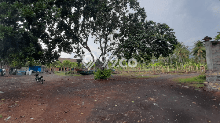 Tanah Kavling Dijual di Buleleng dengan Spesifikasi 5350m2 Tanah Kavling Dijual di Buleleng dengan Spesifikasi 5350m2