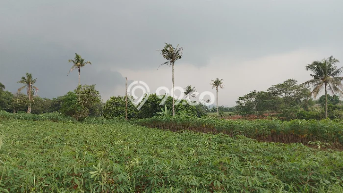 Tanah Kavling untuk Dijual di Ranca Bungur Bogor 22300m2 Tanah Kavling untuk Dijual di Ranca Bungur Bogor 22300m2