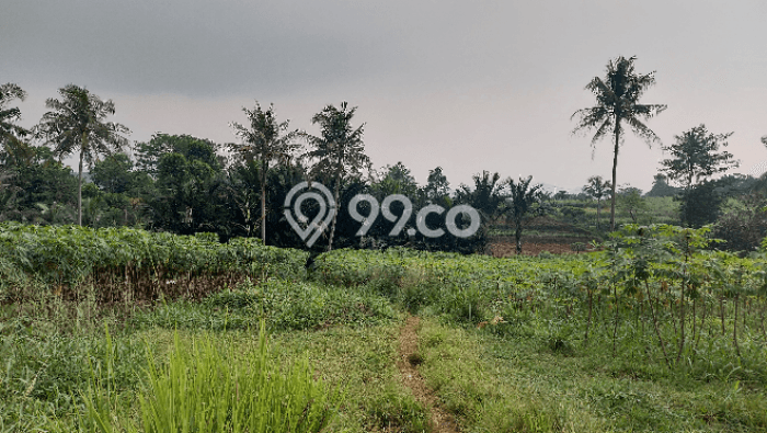 Tanah Kavling untuk Dijual di Ranca Bungur Bogor 22300m2 Tanah Kavling untuk Dijual di Ranca Bungur Bogor 22300m2