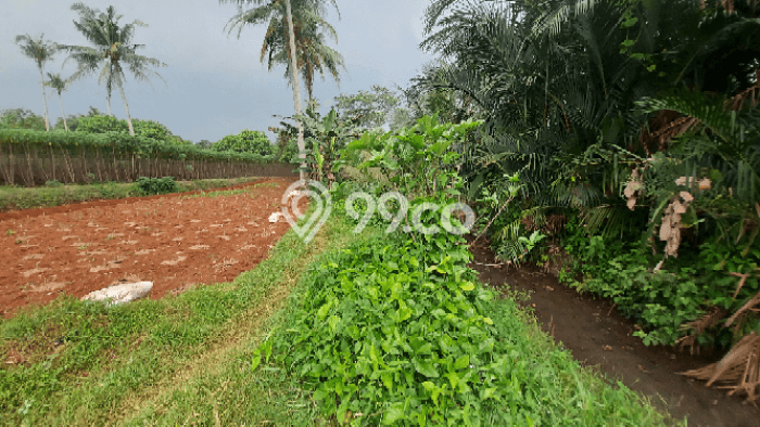 Tanah Kavling untuk Dijual di Ranca Bungur Bogor 22300m2 Tanah Kavling untuk Dijual di Ranca Bungur Bogor 22300m2