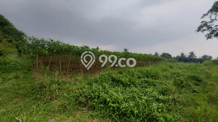 Tanah Kavling untuk Dijual di Ranca Bungur Bogor 22300m2 Tanah Kavling untuk Dijual di Ranca Bungur Bogor 22300m2