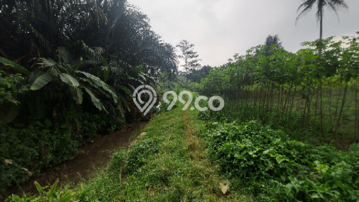 Tanah Kavling untuk Dijual di Ranca Bungur Bogor 22300m2 Tanah Kavling untuk Dijual di Ranca Bungur Bogor 22300m2