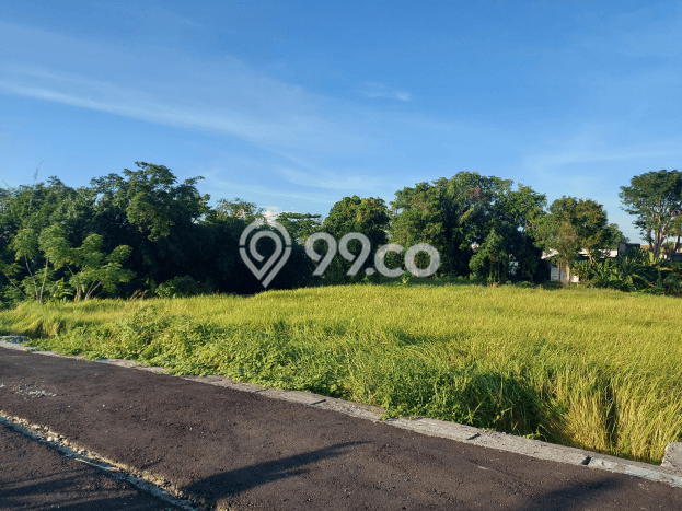 Untuk Dijual Tanah 300m2 di Canggu, Badung Untuk Dijual Tanah 300m2 di Canggu, Badung