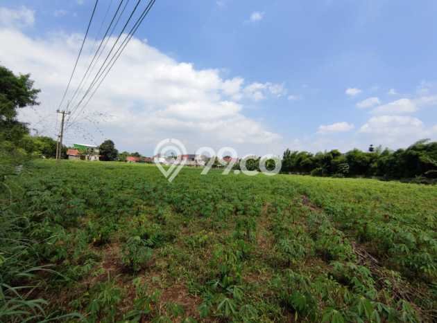 Lahan Strategis di Sukaraja Dijual dengan Luas 12348m2 Lahan Strategis di Sukaraja Dijual dengan Luas 12348m2