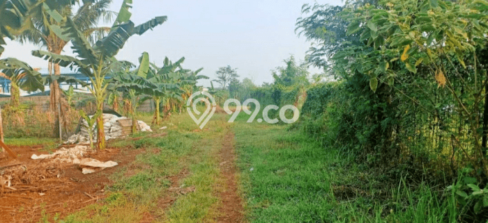 Tanah Kavling untuk Dijual di Gunung Putri Bogor 600m2 Tanah Kavling untuk Dijual di Gunung Putri Bogor 600m2
