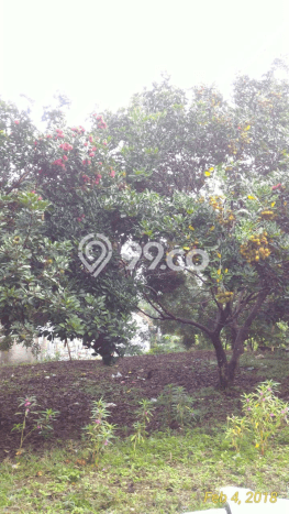 Tanah untuk Dijual Lokasi Gunung Sindur, Bogor Luas 1500m2 SHM Tanah untuk Dijual Lokasi Gunung Sindur, Bogor Luas 1500m2 SHM