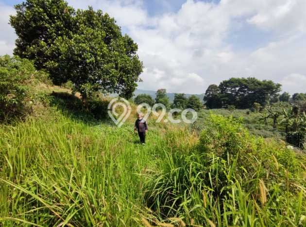Tanah Cijeruk dekat Curug Putri Pelangi Cocok untuk Villa Resto atau Coffeeshop view Gunung Tanah Cijeruk dekat Curug Putri Pelangi Cocok untuk Villa Resto atau Coffeeshop view Gunung