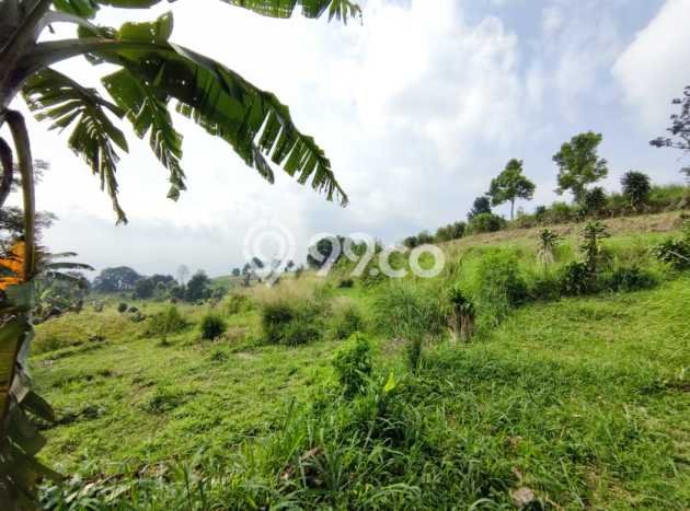 Tanah Cijeruk dekat Curug Putri Pelangi Cocok untuk Villa Resto atau Coffeeshop view Gunung Tanah Cijeruk dekat Curug Putri Pelangi Cocok untuk Villa Resto atau Coffeeshop view Gunung