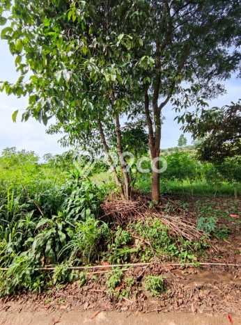 Tanah Cijeruk dekat Curug Putri Pelangi Cocok untuk Villa Resto atau Coffeeshop view Gunung Tanah Cijeruk dekat Curug Putri Pelangi Cocok untuk Villa Resto atau Coffeeshop view Gunung
