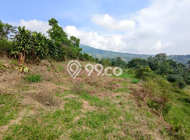 Tanah Cijeruk dekat Curug Putri Pelangi Cocok untuk Villa Resto atau Coffeeshop view Gunung Tanah Cijeruk dekat Curug Putri Pelangi Cocok untuk Villa Resto atau Coffeeshop view Gunung