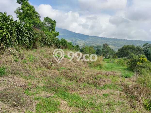 Tanah Cijeruk dekat Curug Putri Pelangi Cocok untuk Villa Resto atau Coffeeshop view Gunung Tanah Cijeruk dekat Curug Putri Pelangi Cocok untuk Villa Resto atau Coffeeshop view Gunung