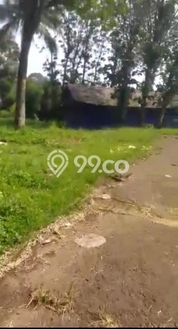 Lahan Kosong Dijual di Cijeruk, Bogor, Luas 11590m2 Area Strategis Lahan Kosong Dijual di Cijeruk, Bogor, Luas 11590m2 Area Strategis