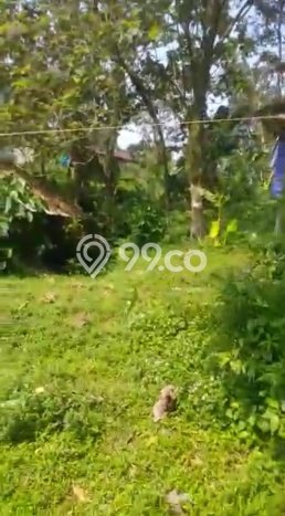 Lahan Kosong Dijual di Cijeruk, Bogor, Luas 11590m2 Area Strategis Lahan Kosong Dijual di Cijeruk, Bogor, Luas 11590m2 Area Strategis