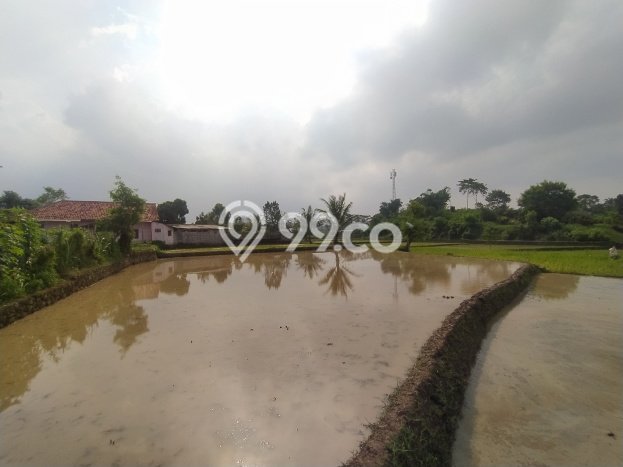 Tanah Kavling di Warungkondang Dijual dengan Luas 1250m2 Tanah Kavling di Warungkondang Dijual dengan Luas 1250m2