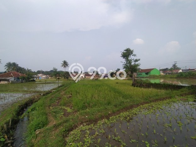 Tanah Kavling di Warungkondang Dijual dengan Luas 1250m2 Tanah Kavling di Warungkondang Dijual dengan Luas 1250m2