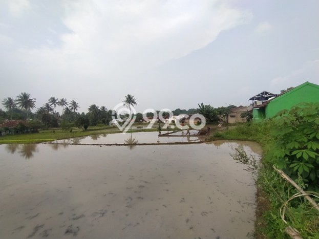 Tanah Kavling di Warungkondang Dijual dengan Luas 1250m2 Tanah Kavling di Warungkondang Dijual dengan Luas 1250m2