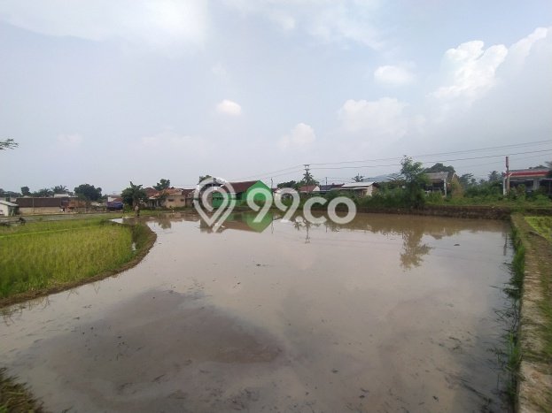 Tanah Kavling di Warungkondang Dijual dengan Luas 1250m2 Tanah Kavling di Warungkondang Dijual dengan Luas 1250m2